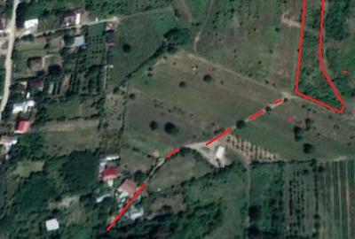 Teren de 4681 mp, în Est - 1