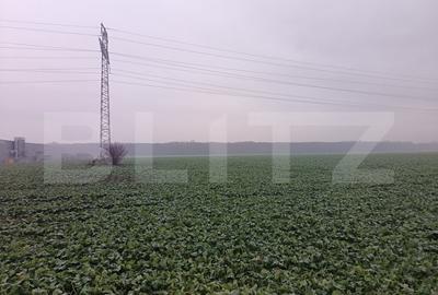 Teren intravilan , 15000mp , Zona Lido Garbea Teren intravilan , 15000mp , Zona Lido Garbea - 2