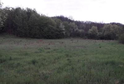 Teren de 6000 mp, în Central - 5