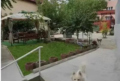 Casa individuala, gradina,  piscina, foisor, locuri de parcare - 16