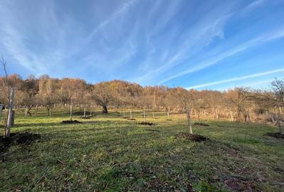 Vila constructie si livada - 1