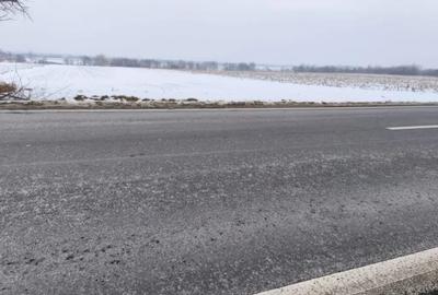 Teren de 6000 mp, în Horodnic - 3