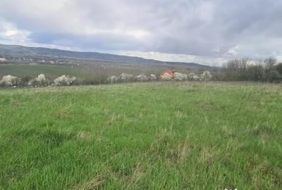 Teren de 12264 mp, în Central - 6