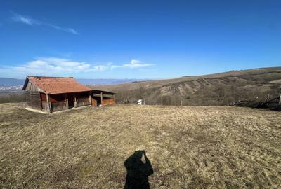 Teren agricol extravilan de 2400 mp, în Șeușa - 1