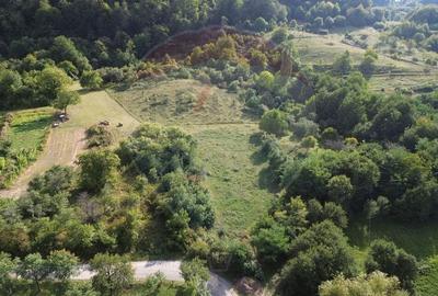 Teren Construcții intravilan de 16500 mp, în Măgureni - 8