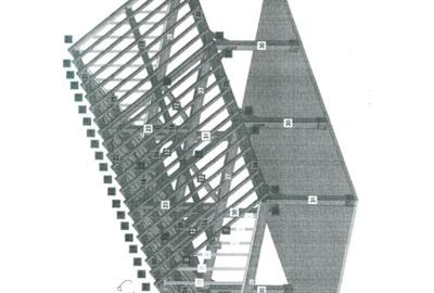 Vand ansamblu structura casa lemn pin nordic - 6