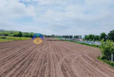 Teren agricol intravilan de 12300 mp, în Cârligi - 4