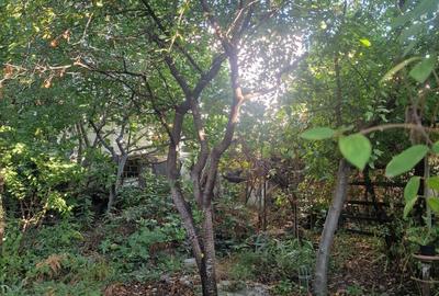 Eroii Revolutiei -  Casa  locuibila - teren 363 mp - deschidere 20.71 mp - P+1E - 16