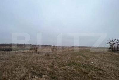 Teren de 50000 mp, în Central - 1