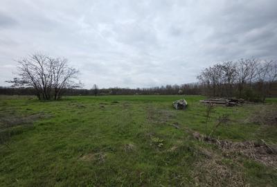 Balta pescuit, peisaj de vis,  padure-lac, investitie garantata - 2