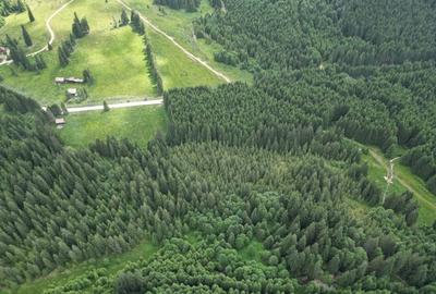 Teren extravilan 5000 MP Comandau - 7