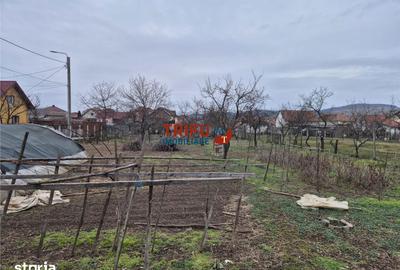 Casă cu 5 camere cu Teren 1651 Mp în Bărăbanț - 9