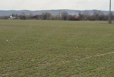 Teren de 10000 mp, în Vernești - 2