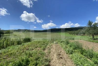 Teren de 19213 mp, în Central - 4