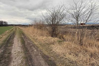 Teren de 7000 mp, în Hărman - 1