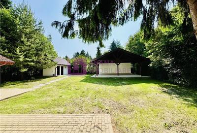 Casa de vacanta 7 camere | Valea Avrigului | teren 1000 mp | video - 11