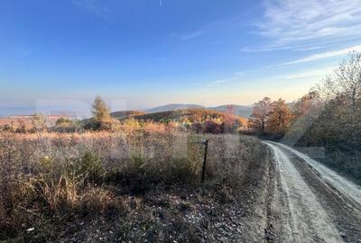 Teren de vanzare - 2