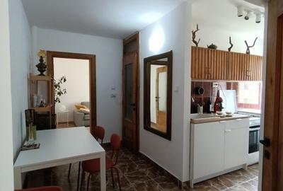 Apartament 3 camere Baile Herculane - 8