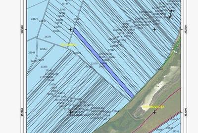 Teren de 11000 mp, în Movilița - 1