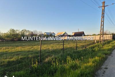 Teren de 3533 mp, în Poiana Lacului - 9