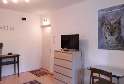 Garsonieră decomandată în Central - 2