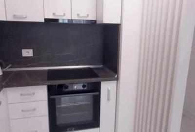 Apartament cu 2 camere decomandat, mobilat în Nufărul - 10
