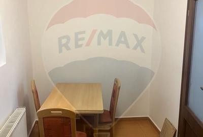 Casă / Vilă cu 4 camere de închiriat în zona Andrei Muresanu - 9