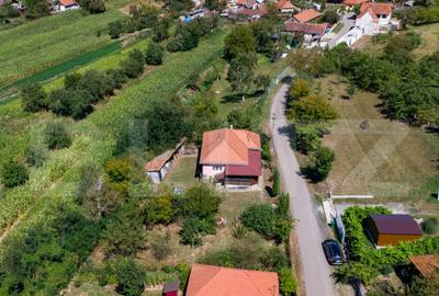 Casa de vanzare in Rovina(Branisca) - 3