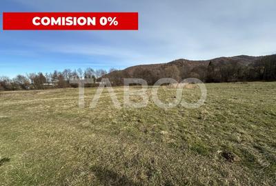 COMISION 0% Teren extravilan 1630 mp langa Rau pe Valea Sebesului - 2