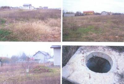 Teren de 4946 mp, în Clinceni - 7
