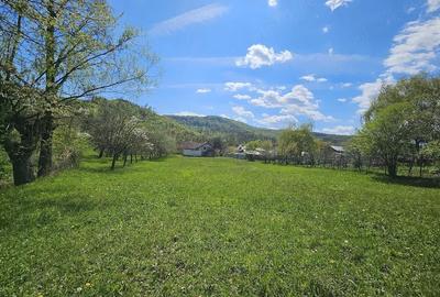 Casă cu Teren 3850 Mp în Prajila - 5