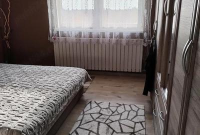 Casă cu 3 camere cu Teren 4200 Mp în Borș - 1