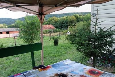 Vind cabana de vacanta in jud.Arges - 4