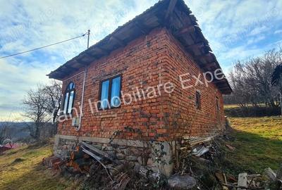 Teren de vanzare in comuna Cicane?ti, sat Cicane?ti, Jude? Arge?. - 20