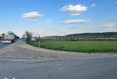 Teren de 10900 mp, în Bălțați - 4