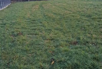 Vând teren intravilan la intrarea în Poplaca, pe drumul Sibiului. - 7