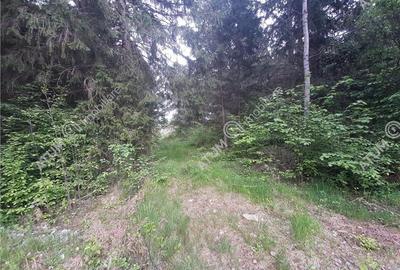 Teren intravilan  Avrig pe Valea Avrigului in zona Mlaci - 5