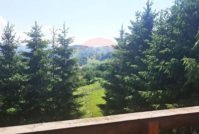 Casă de vacanță in Măgura, la poalele Munților Piatra Craiului - 3