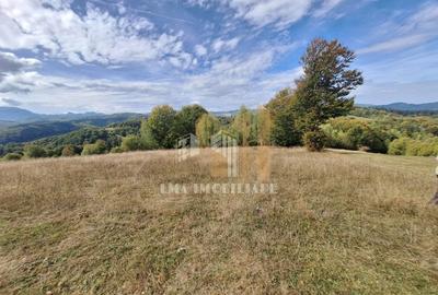 Teren  Intorsura Buzaului Dealul Frumos - 1