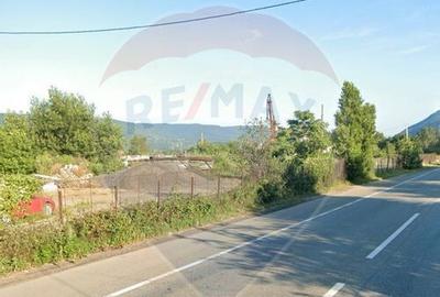 Teren comercial / industrial, de vanzare in zona Portile ... - 4