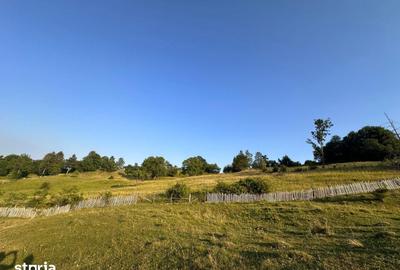 Teren de 13000 mp, în Talea - 5