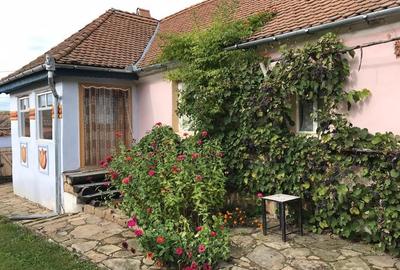 Casă individuală cu 10 camere cu Teren 8200 Mp în Grânari - 7