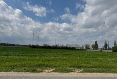 Teren Construcții intravilan de 20000 mp, în Vârteju - 4
