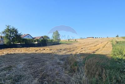 Teren intravilan, 7500 mp in Moara Carp / Strada Eternita... - 5