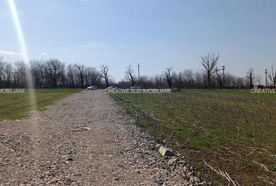 Terenuri Intravilane Industriale - 50 E mp - Sos. Oltenitei DN 4 / Autostrada A0 Terenuri Intravilane Industriale - 50 E mp - Sos. Oltenitei DN 4 / Autostrada A0 - 3