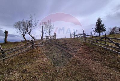 Comision 0 %/ Teren extravilan 13,570mp Pestera / Priveli... - 7