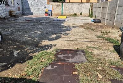 Spațiu comercial, în Alexandru Obregia - 1