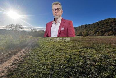 Teren de 2754 mp, în Bocșa - 2