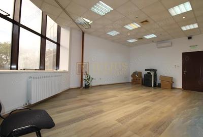 Cladirea Enel, 33 mp, Luminos. - 7