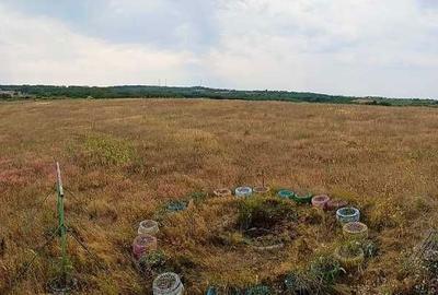 Spațiu comercial, în Lugoj - 8